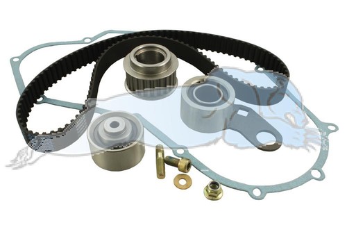 Kit cinghia distribuzione - cinghia,