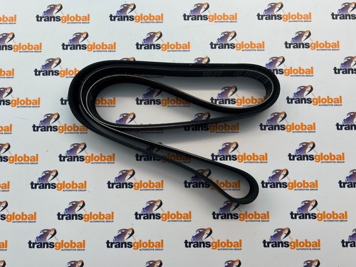 Cinghia ventola trasmissione - cinghia,